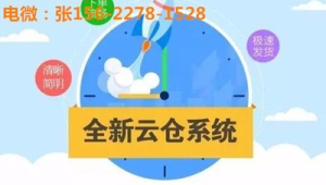 零库存分销实验：完全依赖号易官方直发，代理只负责推广的优劣