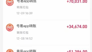 核心代理圈层：如何进入并受益于号易号卡顶级分销商的圈子？