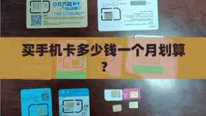 行业价格同盟的道德与法律边界：讨论代理间自发稳定号易号卡价格的限度