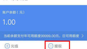 号易平台对私提现常见问题：到账延迟与限额问题的解决方法