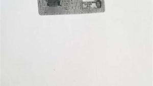 情景模拟培训法：通过角色扮演培训新代理应对各种号易号卡销售场景