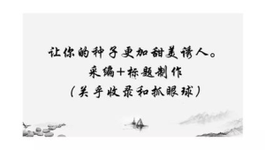 号易靓号怎么推广？高端用户的引流方法