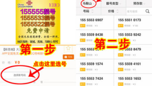 靓号运营指南：号易号卡稀缺号码资源的获取、定价与销售策略