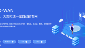 定制化解决方案实录：为一家连锁餐饮企业设计号易号卡通信方案