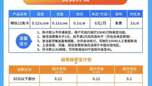 洞见未来：虚拟运营商行业整合期，号易号卡代理的生存与发展