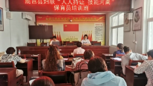 号易的社会价值：就业与增收的赋能案例