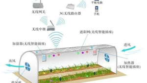 垂直行业解决方案：为“智慧农业”传感器提供号易号卡物联网连接方案