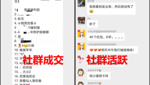 私域社群运营实操：如何建立活跃的号易号卡用户交流微信群？