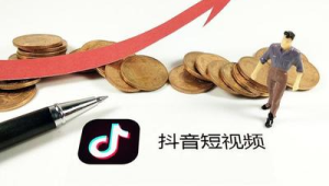 号易抖音小程序用户画像：精准触达目标客群