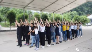 团队文化建设活动：组织哪些非业务活动可以增强号易分销团队的凝聚力？