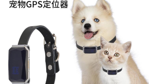 宠物物联网市场：将号易号卡作为宠物定位器的流量卡推荐给宠物店